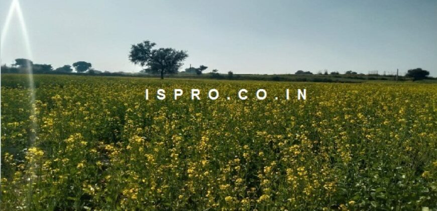 4.5 Acres Land for Sale Sultanpur Gurgaon