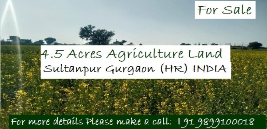 4.5 Acres Land for Sale Sultanpur Gurgaon