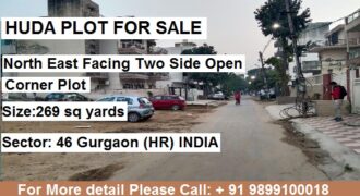Huda Plot for Sale Sec.46 Guru Gram