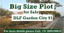 Plot for Sale DLF Gurgaon