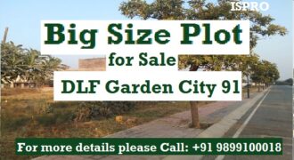 Plot for Sale DLF Gurgaon