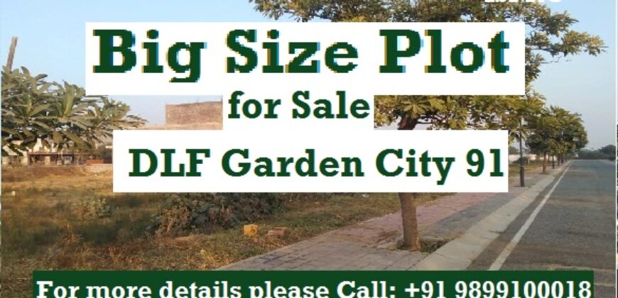 Plot for Sale DLF Gurgaon