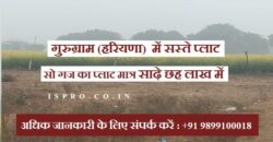 Plot for Sale Inchhapuri Gurugram