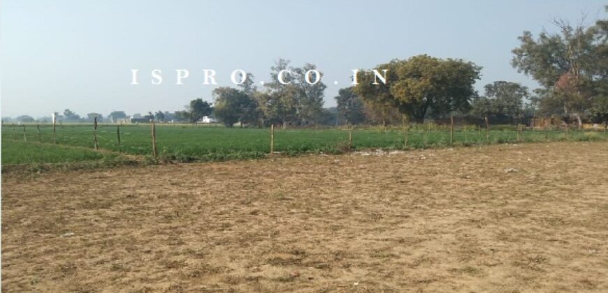 Plot for Sale Yamuna Expressway