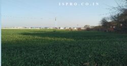 Agriculture Land for Sale Patuda