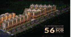 SCO Plot Dwarka Expressway Gurgaon