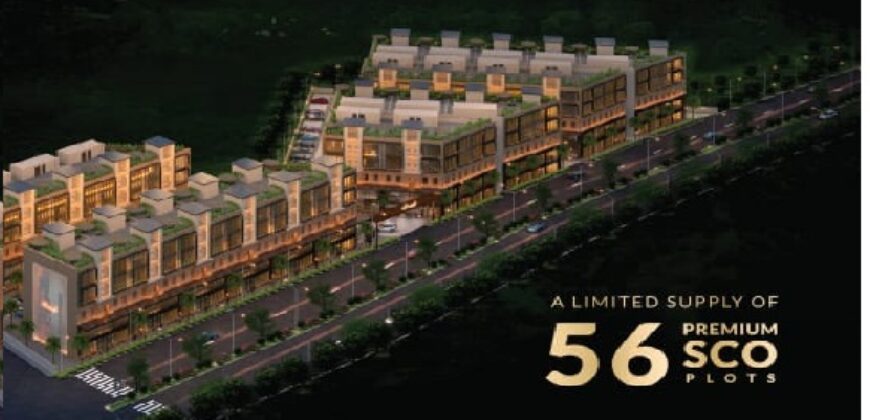 SCO Plot Dwarka Expressway Gurgaon