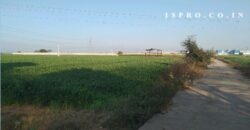 Agriculture Land for Sale Patuda