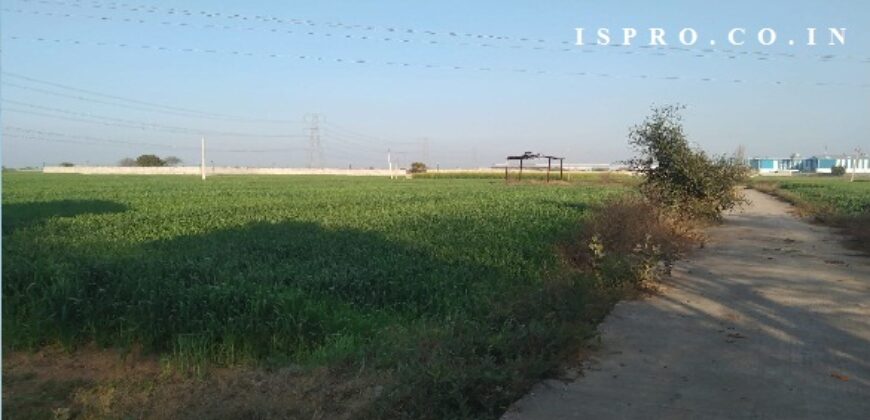 Agriculture Land for Sale Patuda