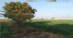 Agriculture Land for Sale Patuda