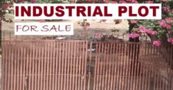 Industrial Plot for Sale Dharuhera