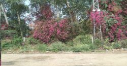 Industrial Plot for Sale Dharuhera