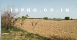 Mini Farm House Land for sale Zahidpur