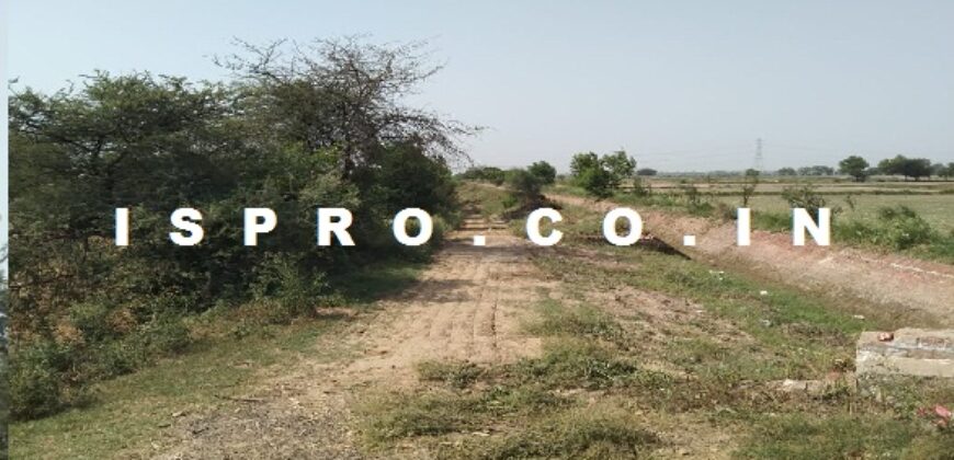 Mini Farm House Land for sale Zahidpur