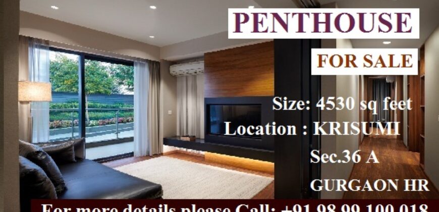 Penthouse for Sale Krisumi Gurgaon