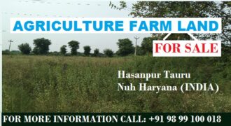 Farm Land for Sale Hasanpur Tauru