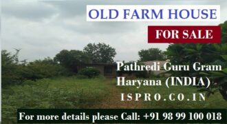 Mini Farm House for Sale Pathredi