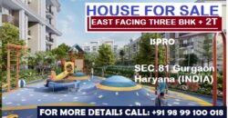 House for Sale (3 BHK+2T) Sec 81