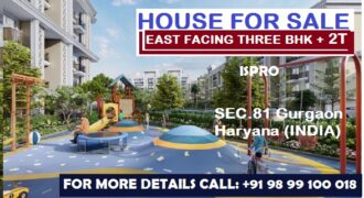 House for Sale (3 BHK+2T) Sec 81