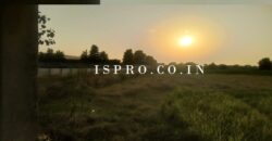 Land for Sale Dharuhera