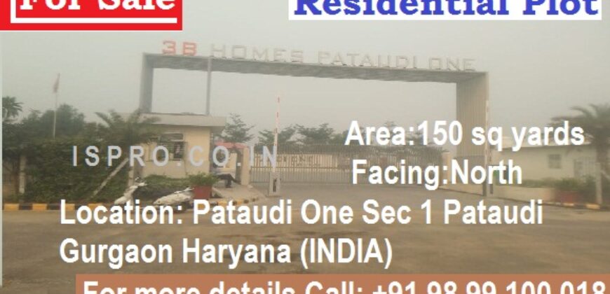 Residential Plot for Sale Patudi Gurgaon