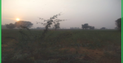 Land for Sale on 60 “meters wide road Manesar