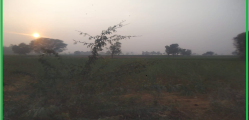 Land for Sale on 60 “meters wide road Manesar