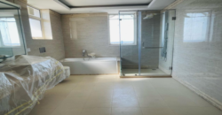 Penthouse for sale Sec.81 Gurgaon