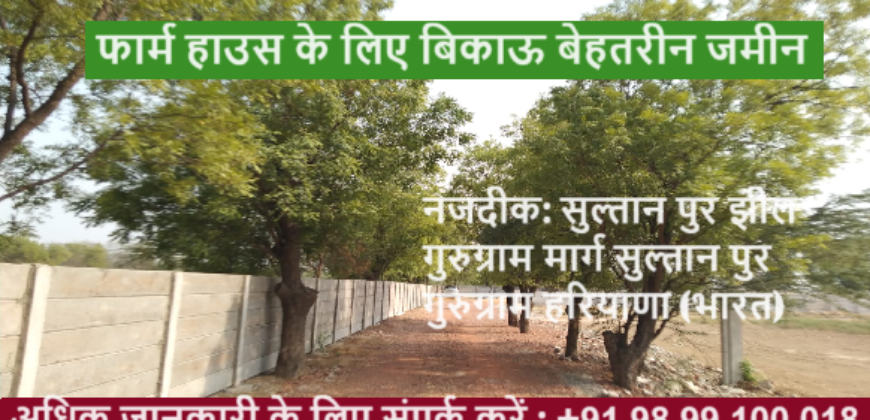 Farm land for Sale Sultanpur Gurgaon