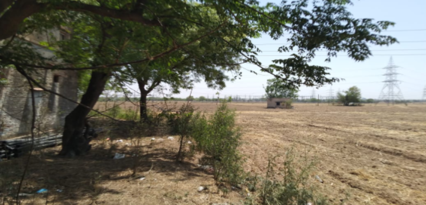 Best Land for Farm House Dharuhera