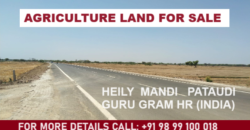 Agriculture Land for Sale Pataudi Gurgaon