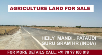 Agriculture Land for Sale Pataudi Gurgaon