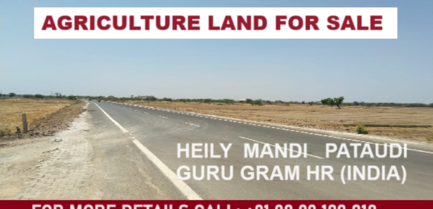 Agriculture Land for Sale Pataudi Gurgaon