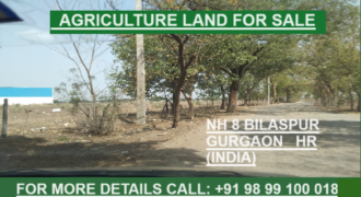 Agriculture Land for Sale Bilaspur NH 8 Gurgaon HR