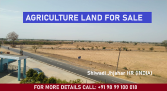 Agriculture Land for Sale Shiwadi Jhajjar