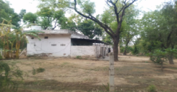 Horticulture Land for Sale Rampur Pataudi Gurgaon