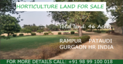 Horticulture Land for Sale Rampur Pataudi Gurgaon