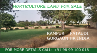 Horticulture Land for Sale Rampur Pataudi Gurgaon