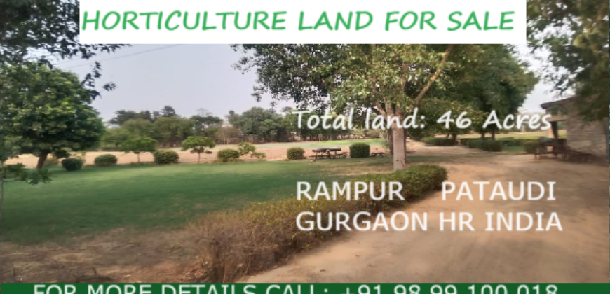 Horticulture Land for Sale Rampur Pataudi Gurgaon