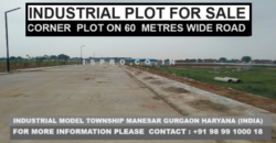 Industrial Plot for sale on 60 meters road Manesar