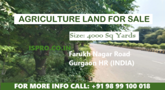 LAND FOR SALE FARUKH NAGAR ROAD GURGAON