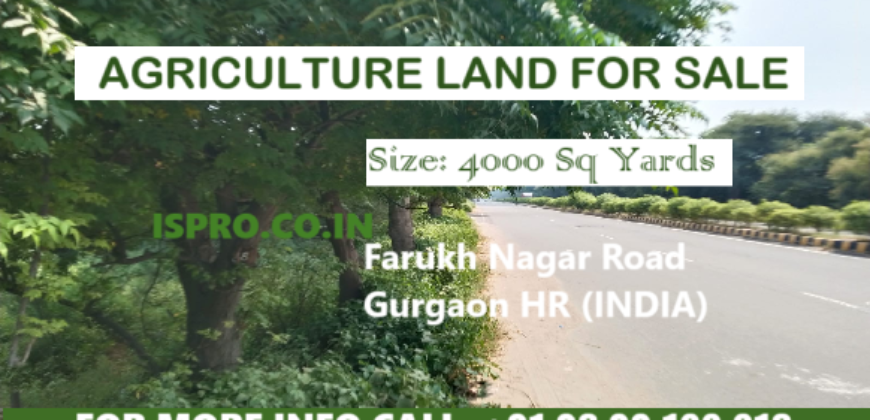 LAND FOR SALE FARUKH NAGAR ROAD GURGAON