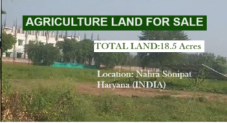 AGRICULTURE LAND FOR SALE SONIPAT