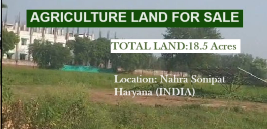 AGRICULTURE LAND FOR SALE SONIPAT