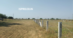 AGRICULTURE LAND FOR SALE PATAUDI GURGAON