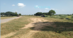 Mini Farm Land for Sale Sohna