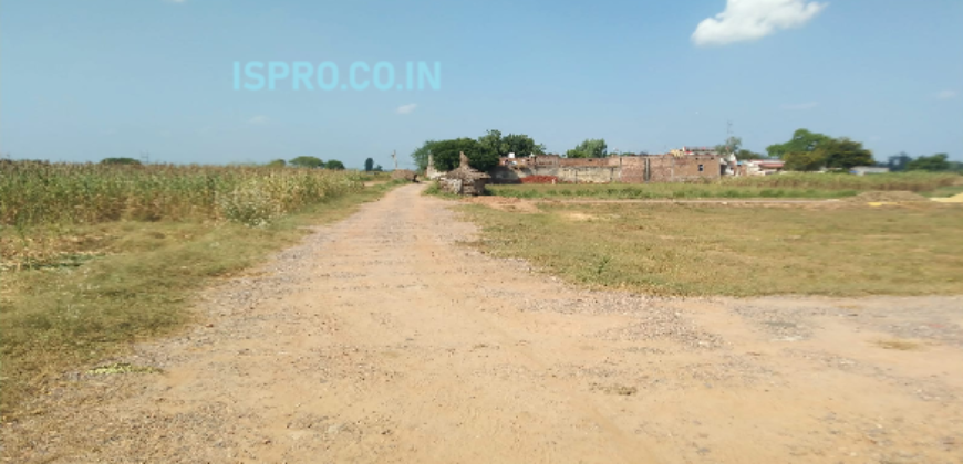 Mini Farm Land for Sale Sohna