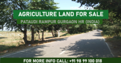 AGRICULTURE LAND FOR SALE PATAUDI GURGAON