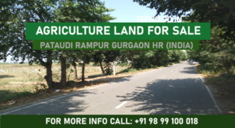 AGRICULTURE LAND FOR SALE PATAUDI GURGAON