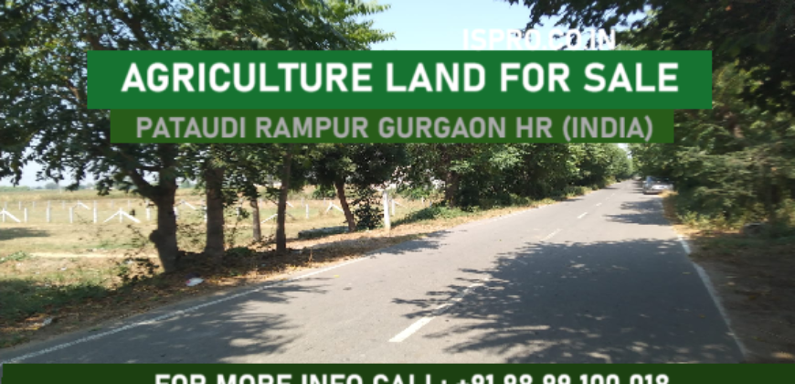 AGRICULTURE LAND FOR SALE PATAUDI GURGAON